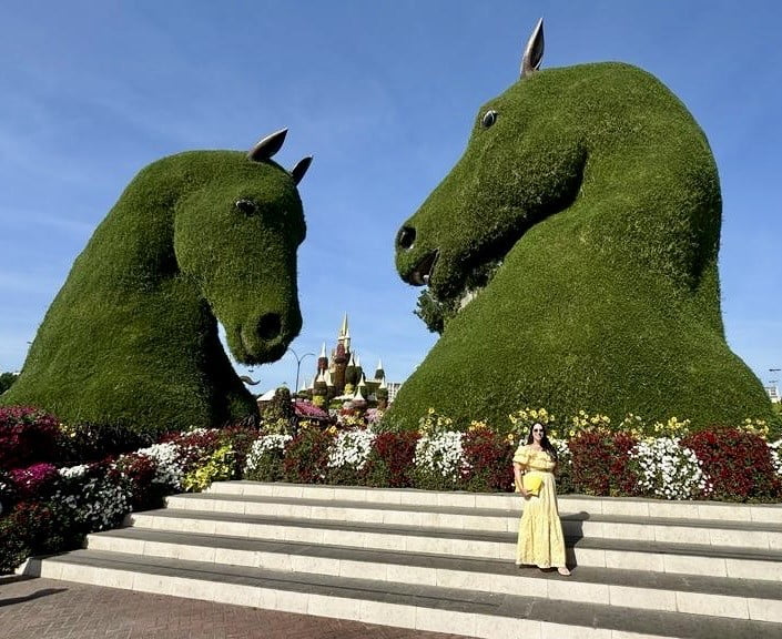 horses at Miracle gardens