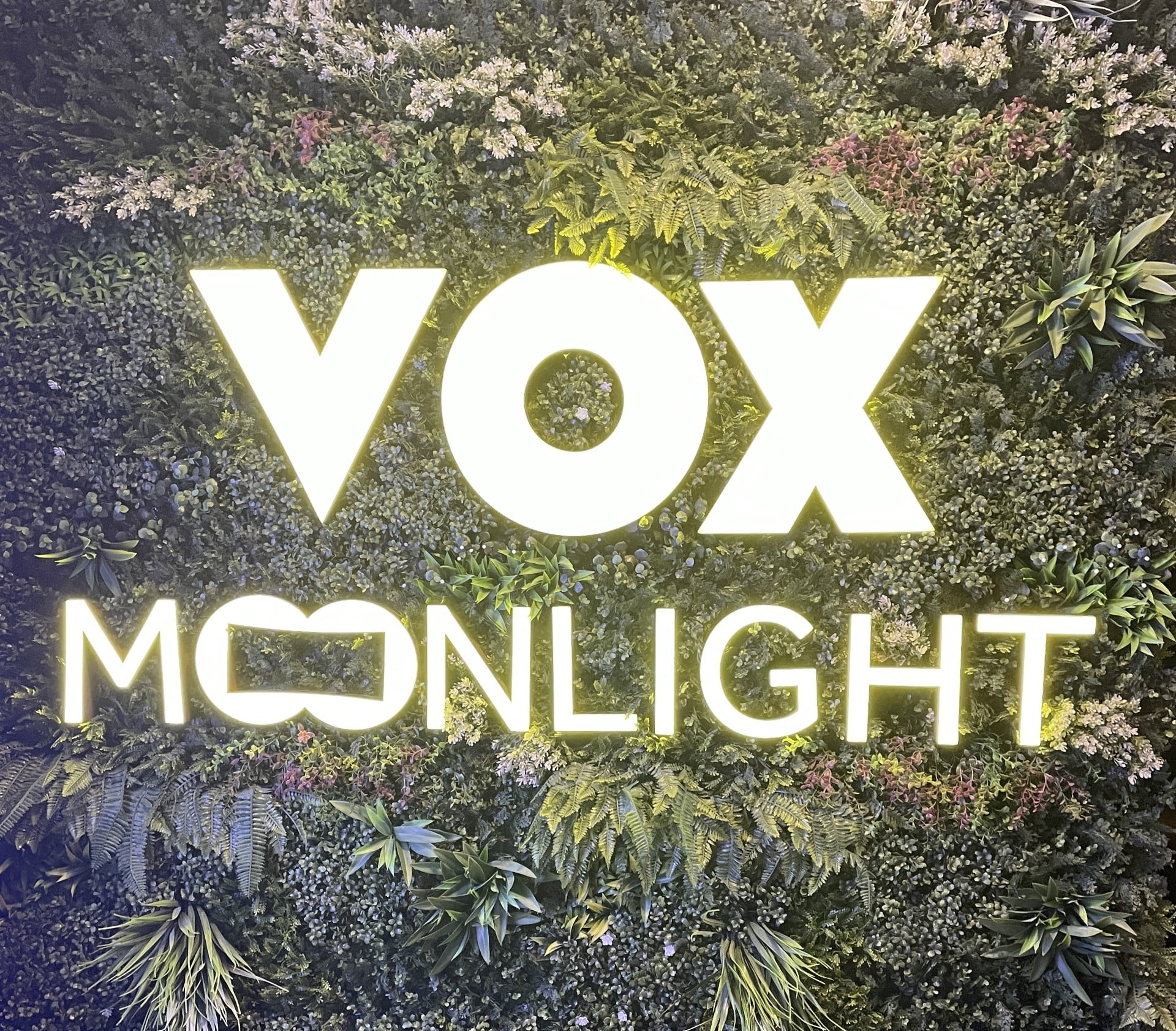 Vox moonlight outdoor cinema dubai