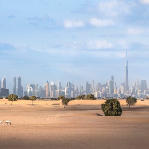 Dubai desert and skyline