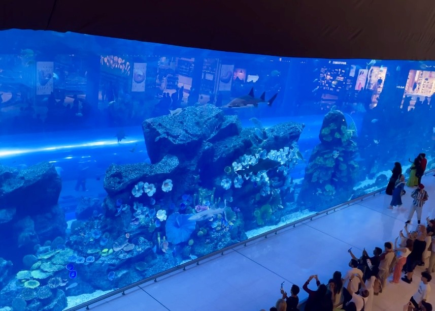 Dubai mall aquarium