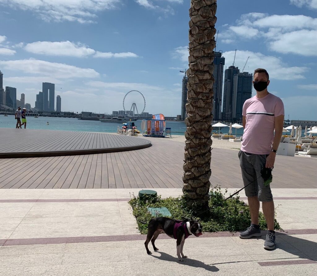 dog in dubai