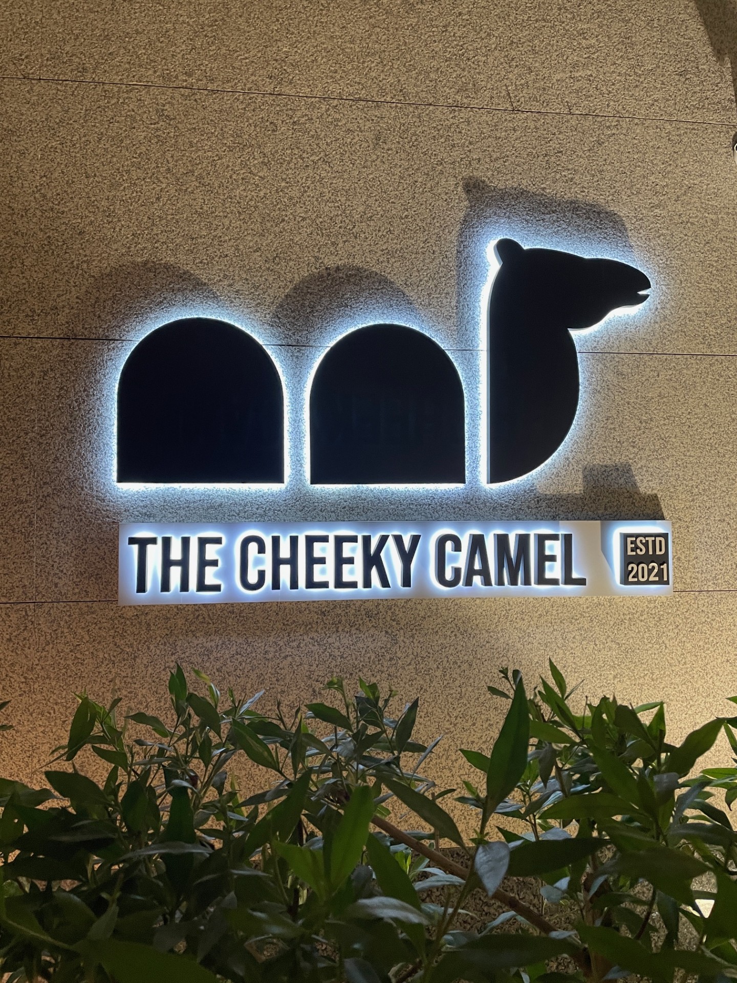 The Cheeky Camel JLT sign