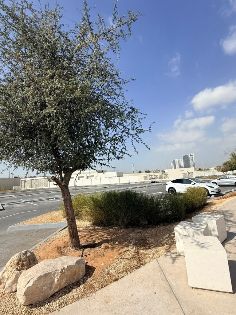 Free parking area at Grand Mosque Abu Dhabi with plenty of available spaces for visitors.